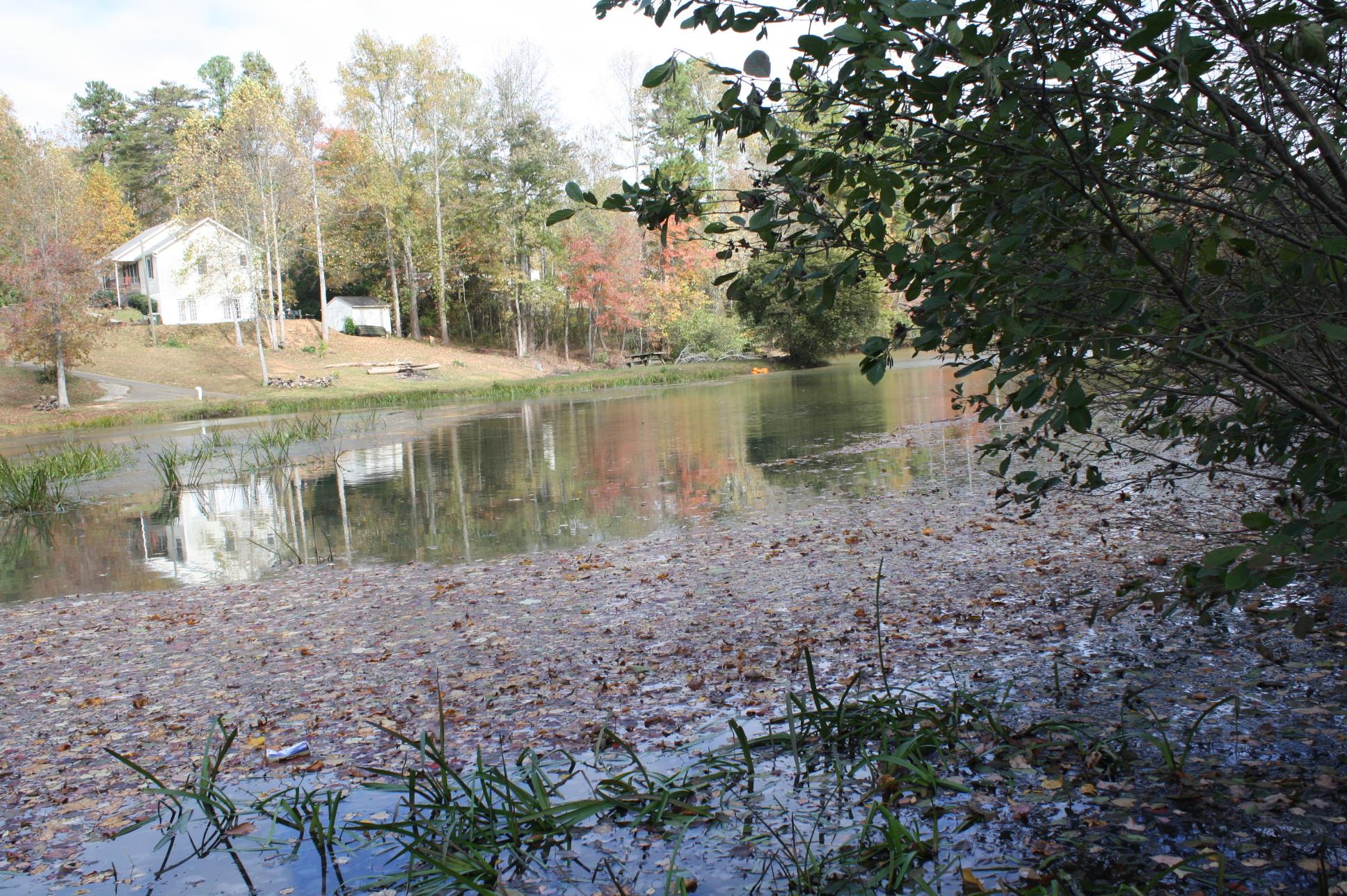 178 Emerald Ln, Jasper, GA 30143 photo 20