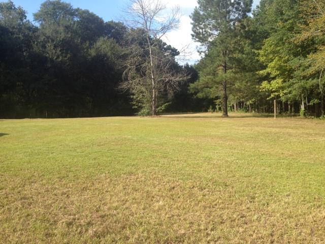 256 Cab Dr, Sylvania, GA 30467 photo 5