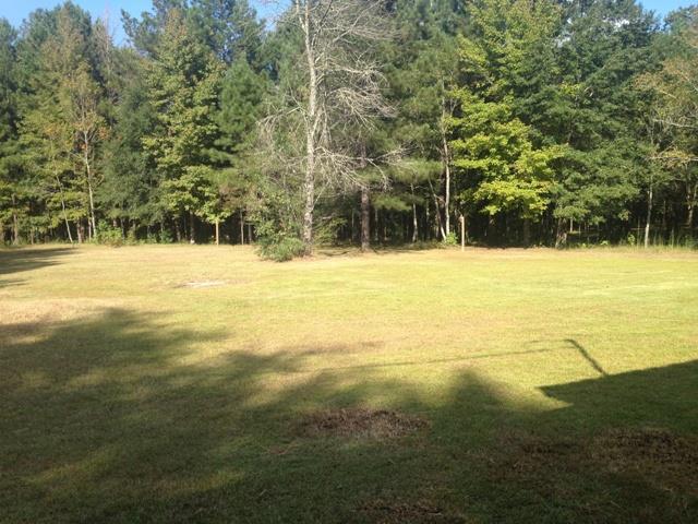 256 Cab Dr, Sylvania, GA 30467 photo 6