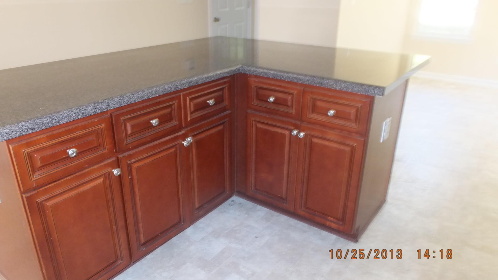 604 Penstock Path, Hampton, GA 30228 photo 5