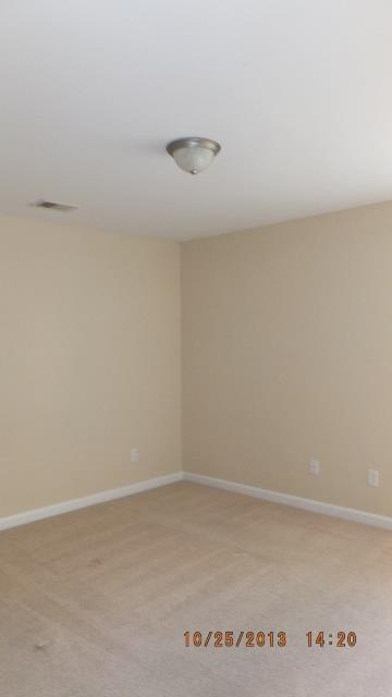 604 Penstock Path, Hampton, GA 30228 photo 12