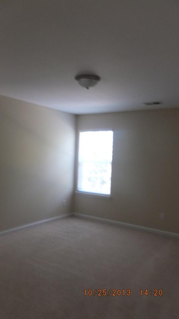 604 Penstock Path, Hampton, GA 30228 photo 13