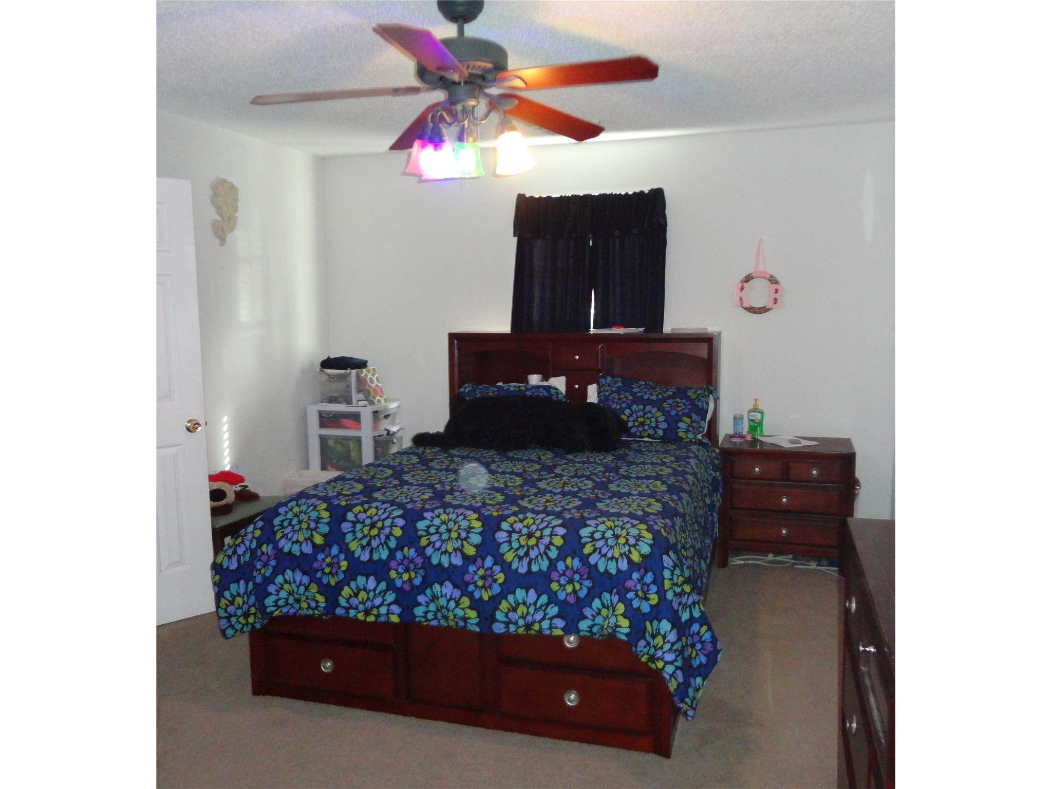 285 Rivers Rd, Williamson, GA 30292 photo 14