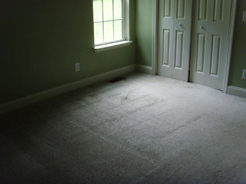 265 View St, Clarkesville, GA 30523 photo 7
