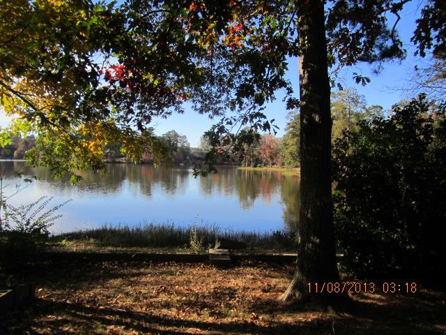 21 Cronic St, Jackson, GA 30233 photo 4