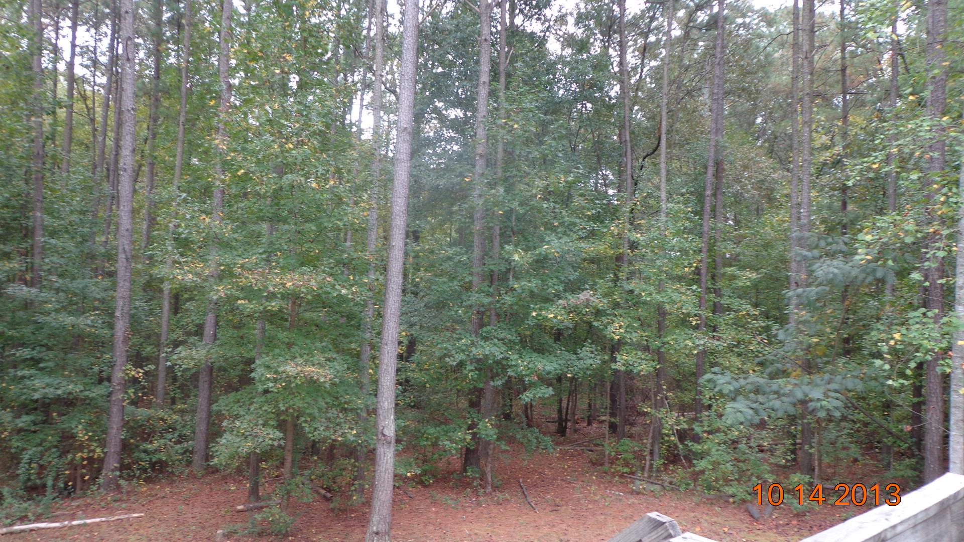 135 Channing Cope Rd, Covington, GA 30016 photo 22