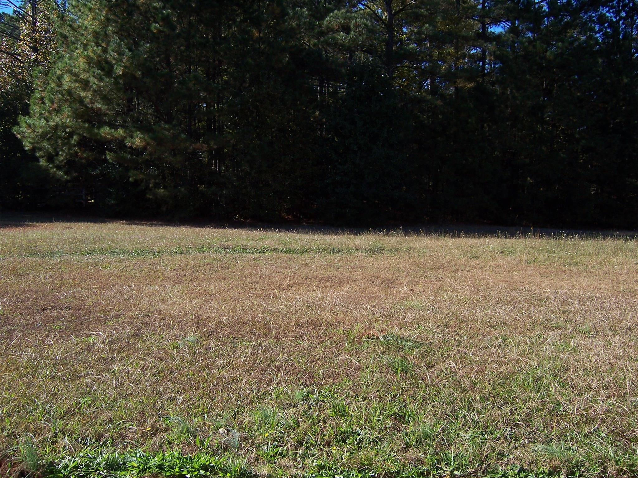 35 Fields Creek Way, Covington, GA 30016 photo 2