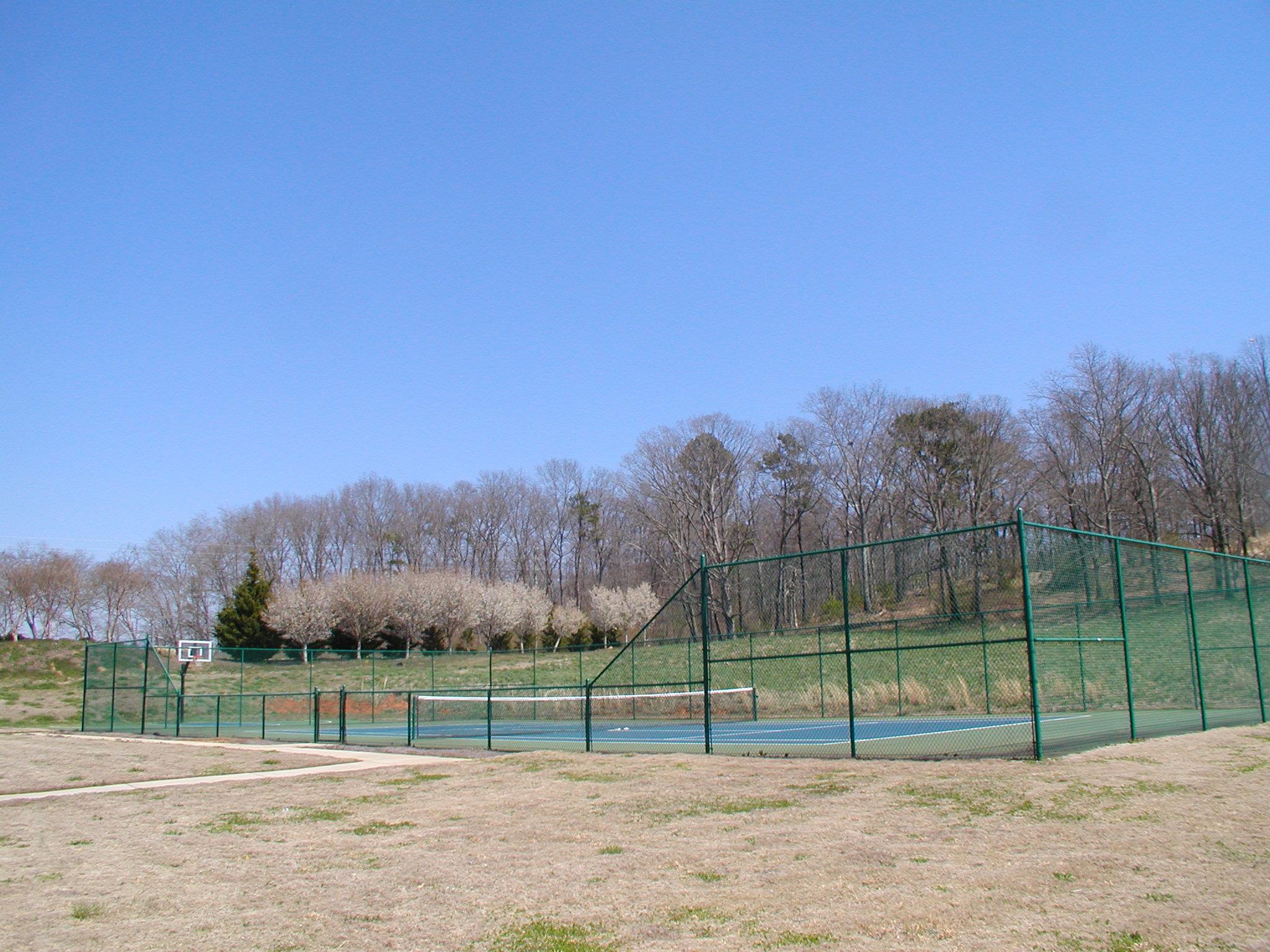 969 Wind Dance Ct, Demorest, GA 30535 photo 25