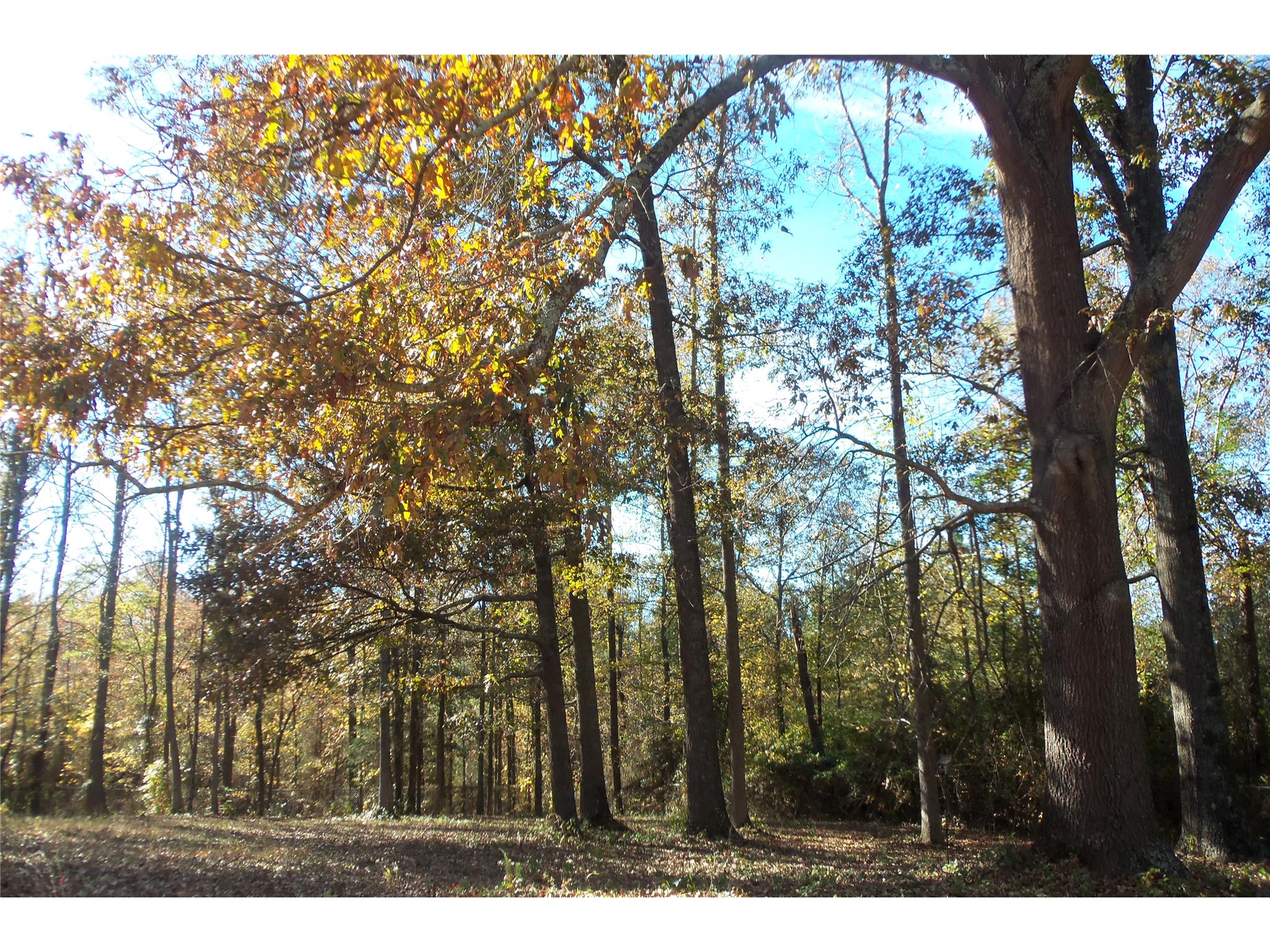 865 Diamond Hill Colbert Rd, Colbert, GA 30628 photo 5