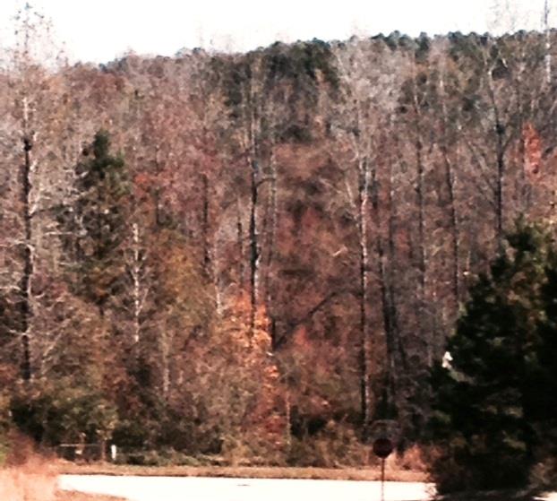 314 Belmont Park Dr, Commerce, GA 30529 photo 2