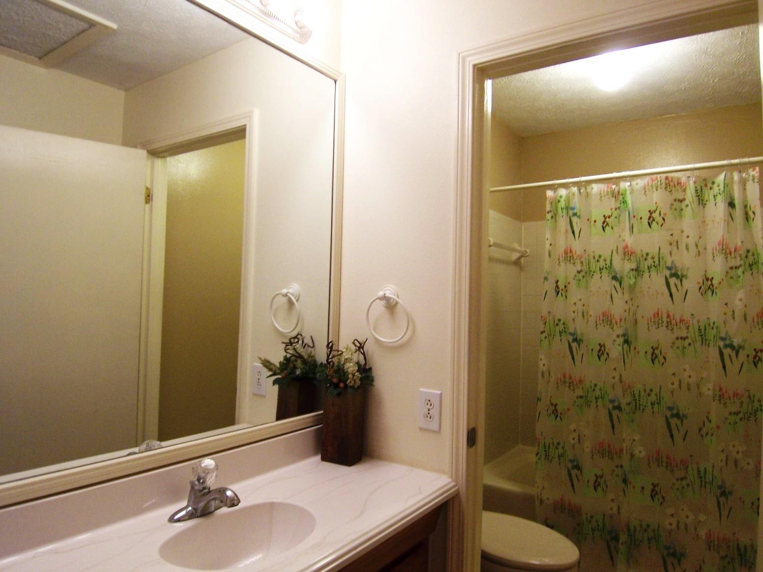 2575 Cardinal Lake Cir, Duluth, GA 30096 photo 11