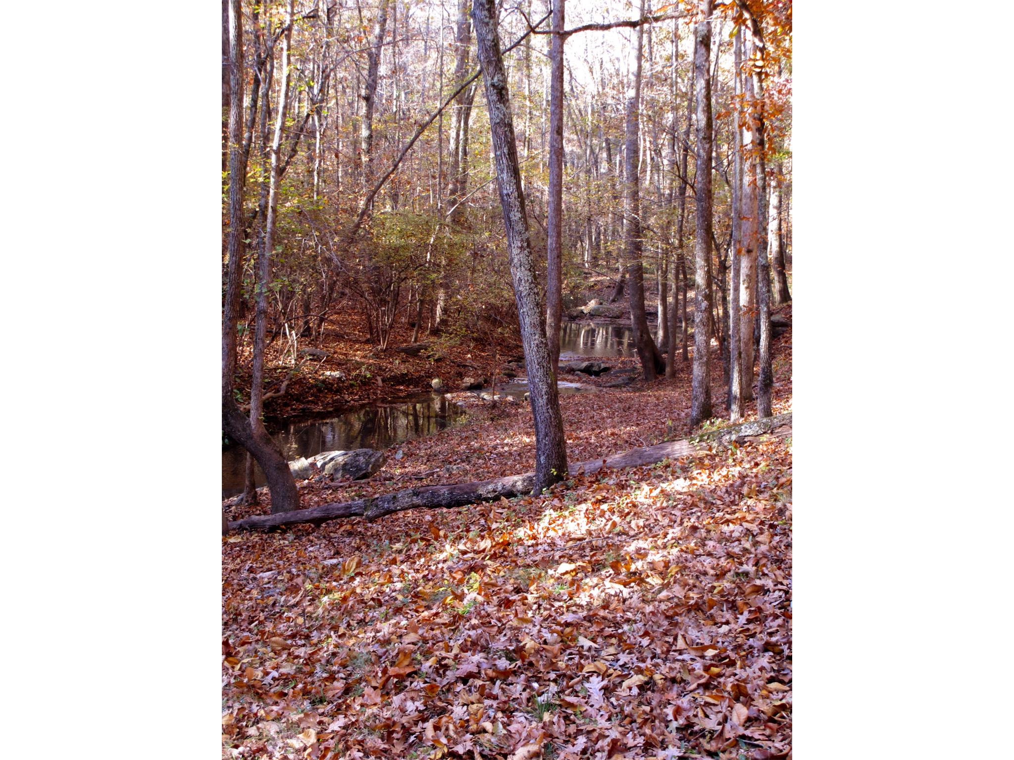 1200 Sunshadow Ln, Bishop, GA 30621 photo 24