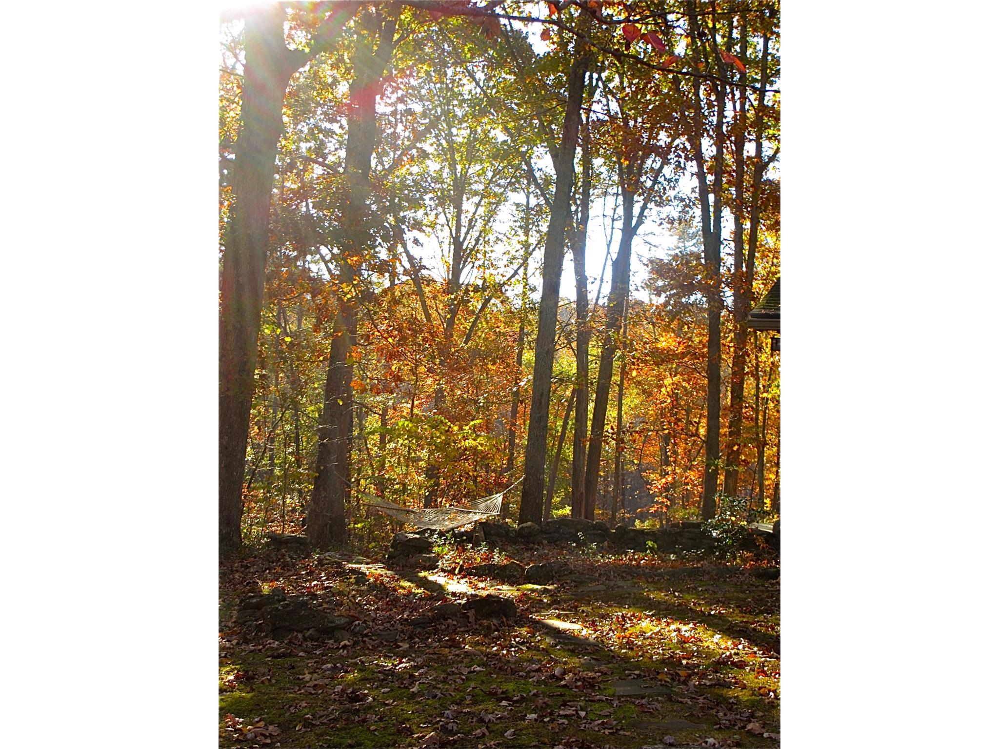 1200 Sunshadow Ln, Bishop, GA 30621 photo 2