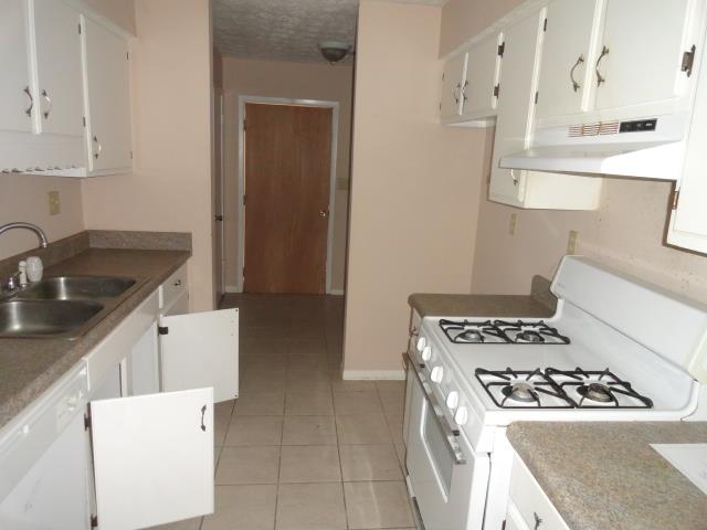 1508 Pine Log Pl, Austell, GA 30168 photo 14