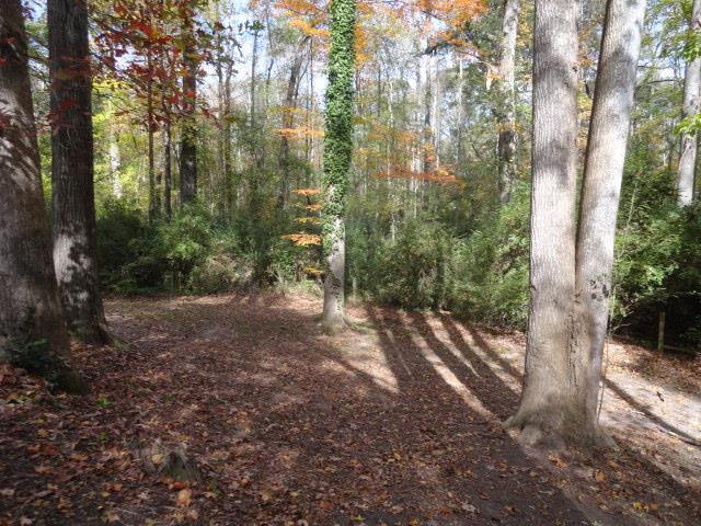 1508 Pine Log Pl, Austell, GA 30168 photo 4