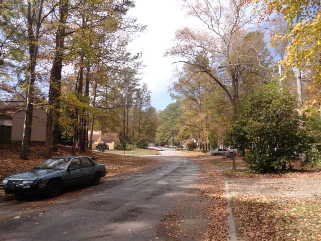 1508 Pine Log Pl, Austell, GA 30168 photo 15
