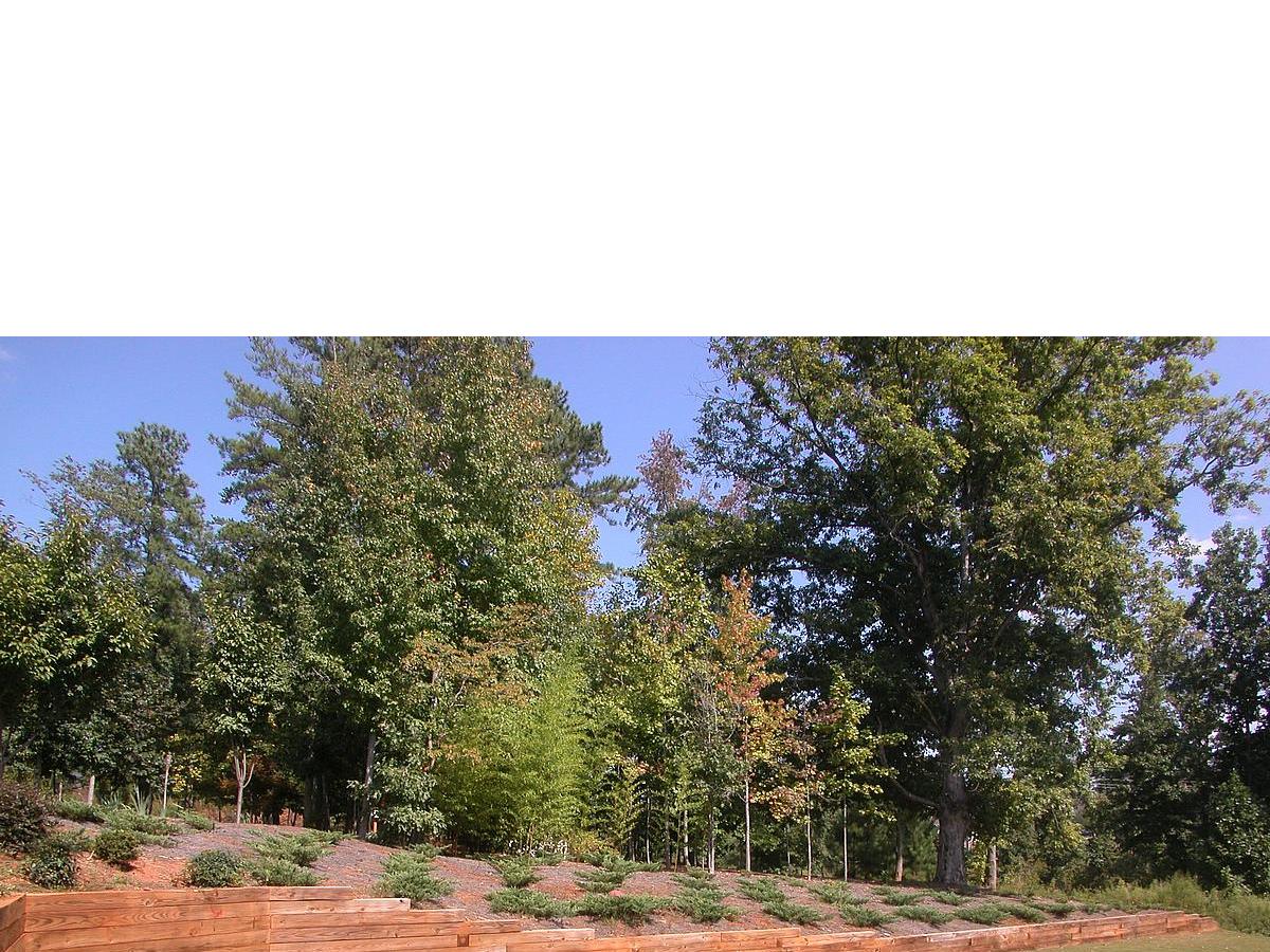 1610 Briergate Dr, Duluth, GA 30097 photo 12