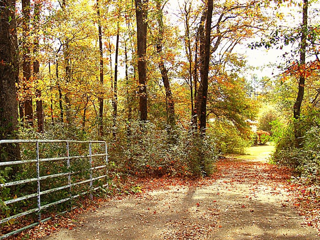 6989 Highway 81, Monroe, GA 30656 photo 2