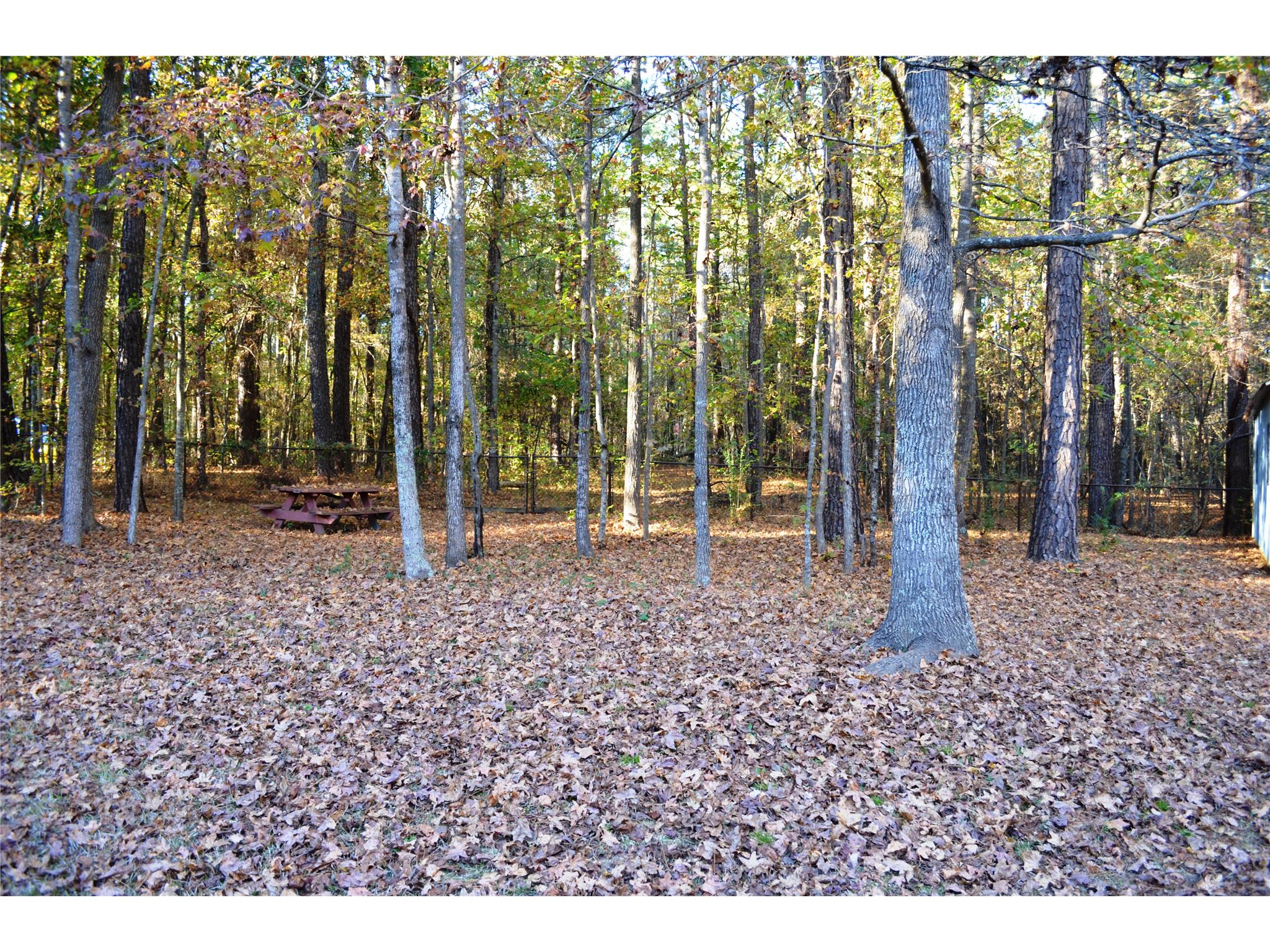 480 Anthony Dr, Tyrone, GA 30290 photo 14