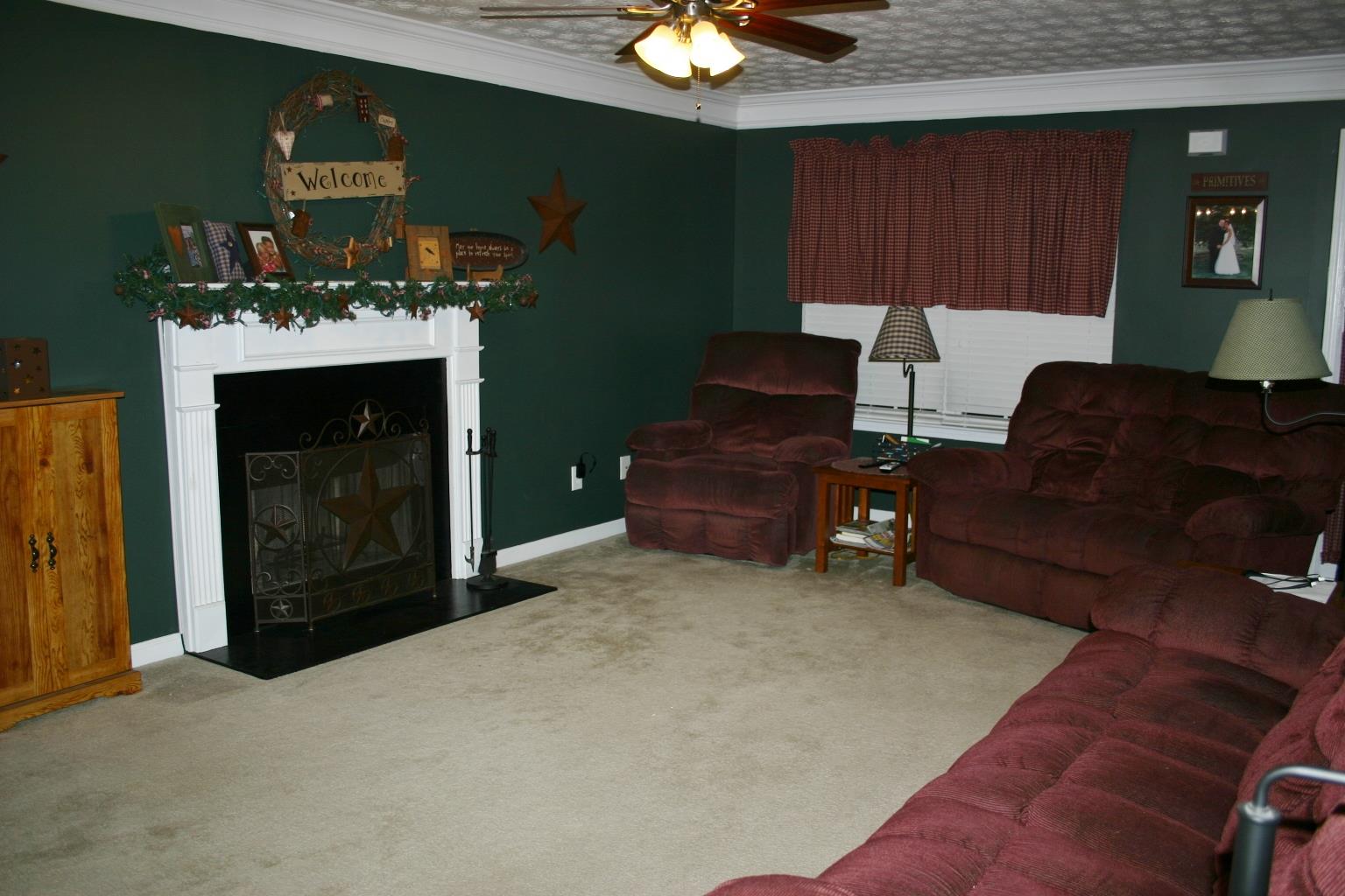 346 Cobblestone Ct, Hampton, GA 30228 photo 4