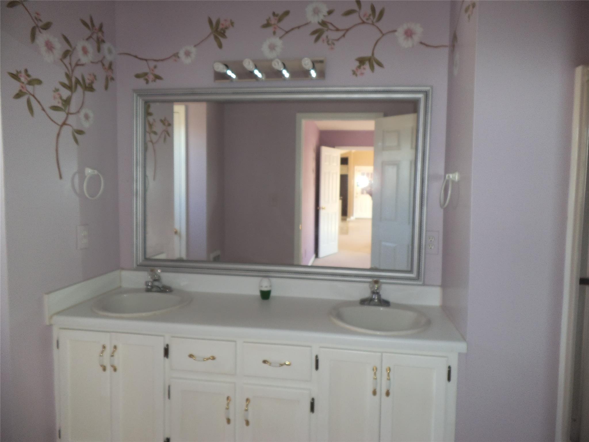 88 Summit Dr, Carnesville, GA 30521 photo 9