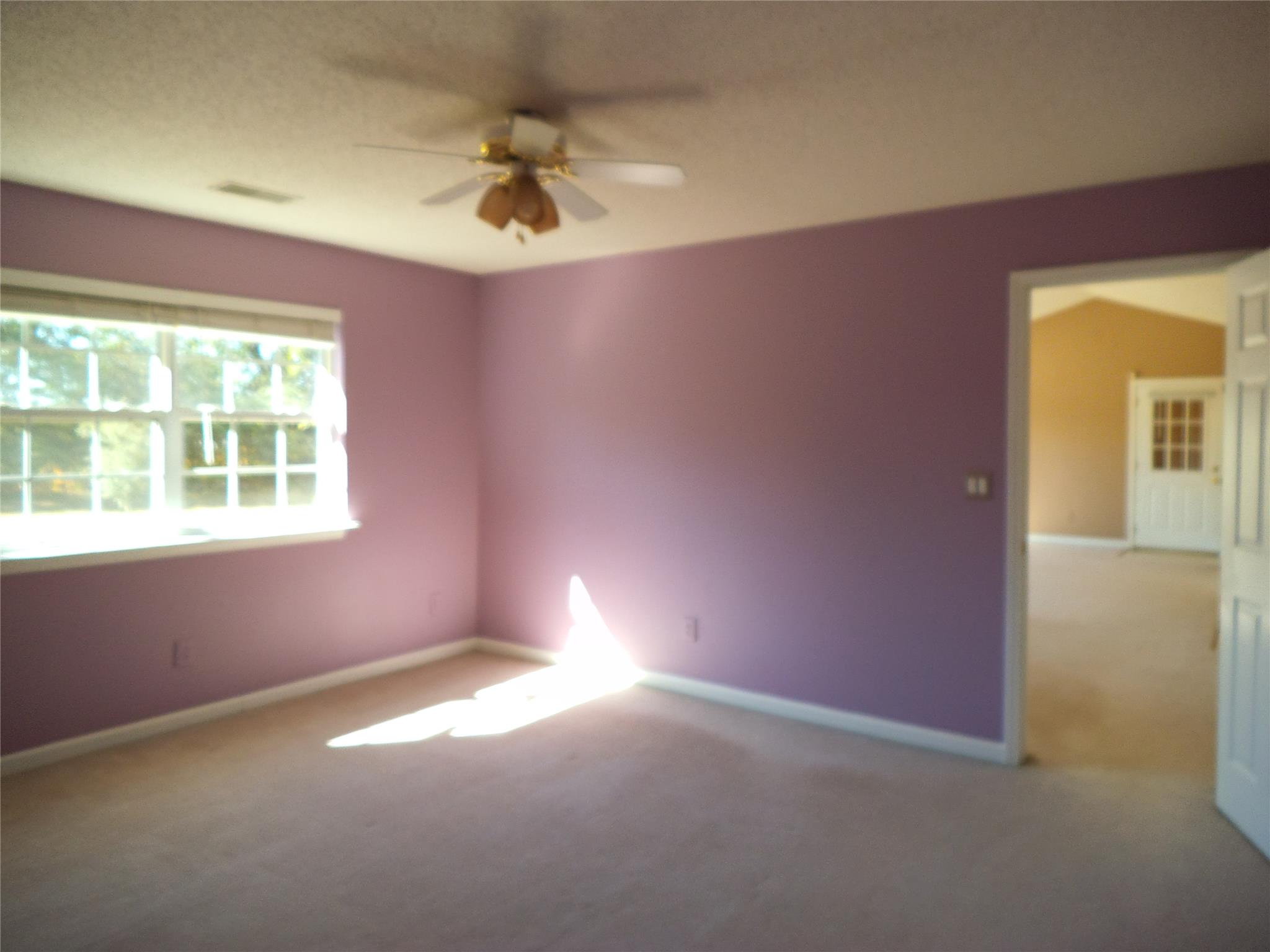 88 Summit Dr, Carnesville, GA 30521 photo 6
