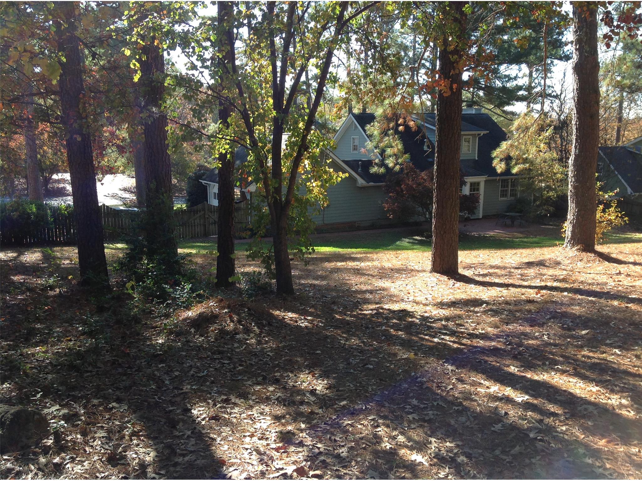 1149 Lakeview Rd, Grayson, GA 30017 photo 21