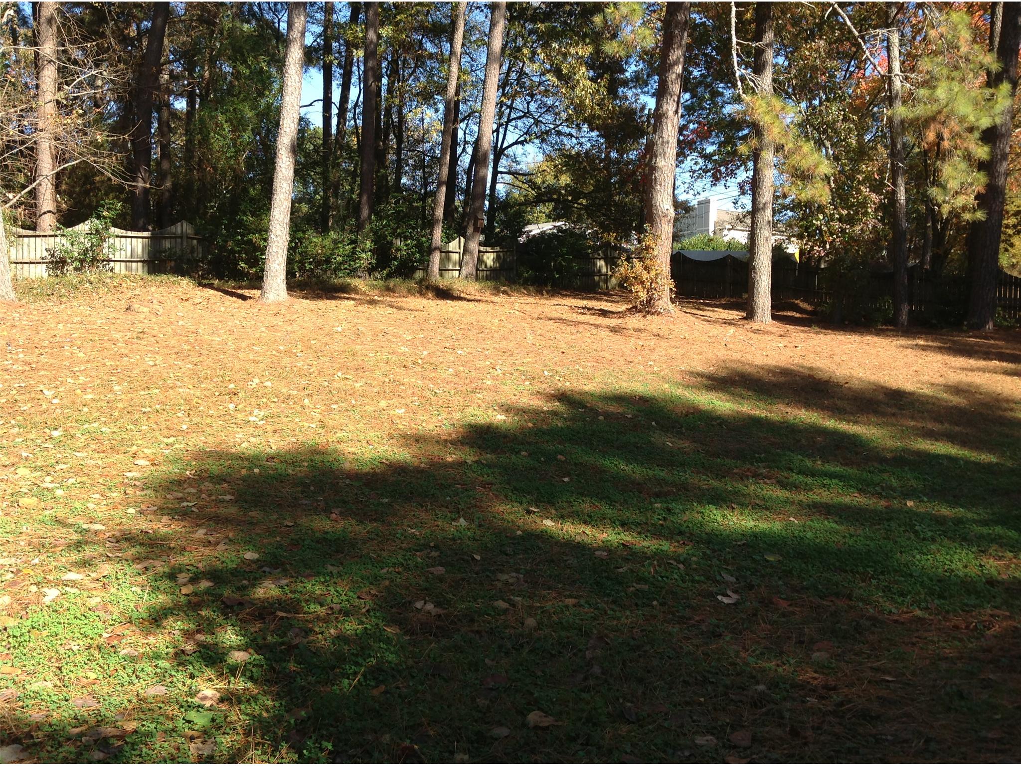 1149 Lakeview Rd, Grayson, GA 30017 photo 23