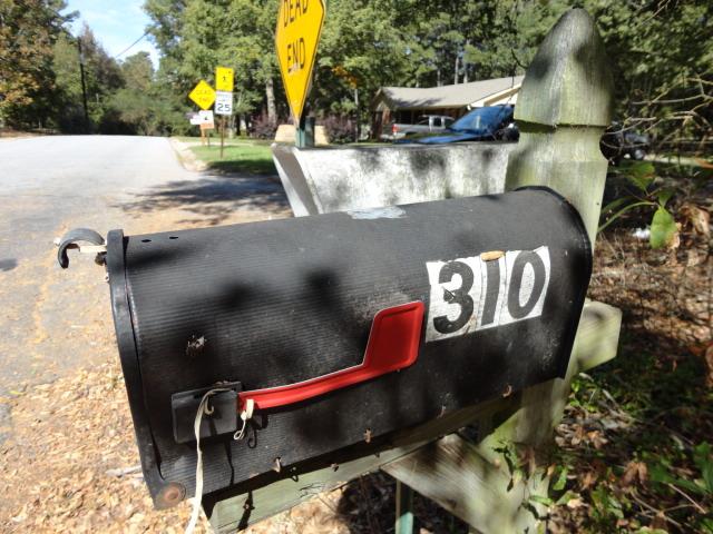 310 E 5th Ave, Winder, GA 30680 photo 22