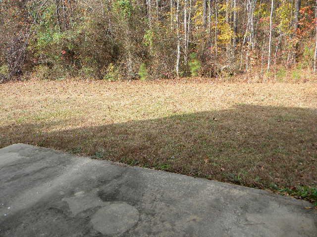 160 Kyndal Dr, Hampton, GA 30228 photo 13