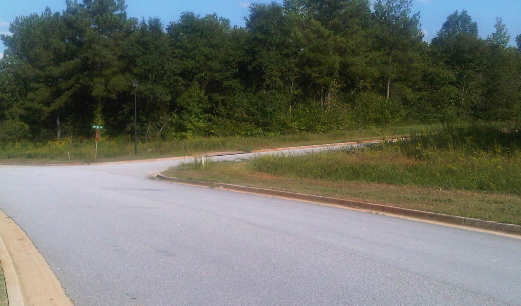 65 Edward Way, Covington, GA 30016 photo 5