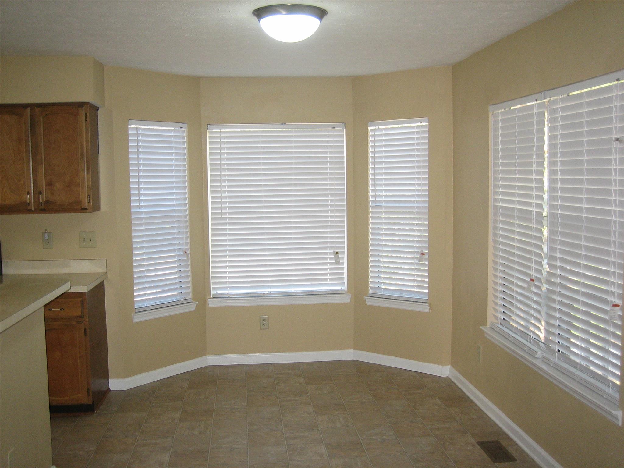 4321 E Meadow Dr, Duluth, GA 30096 photo 6