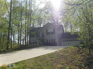 295 Miller Path, Temple, GA 30179 photo 1