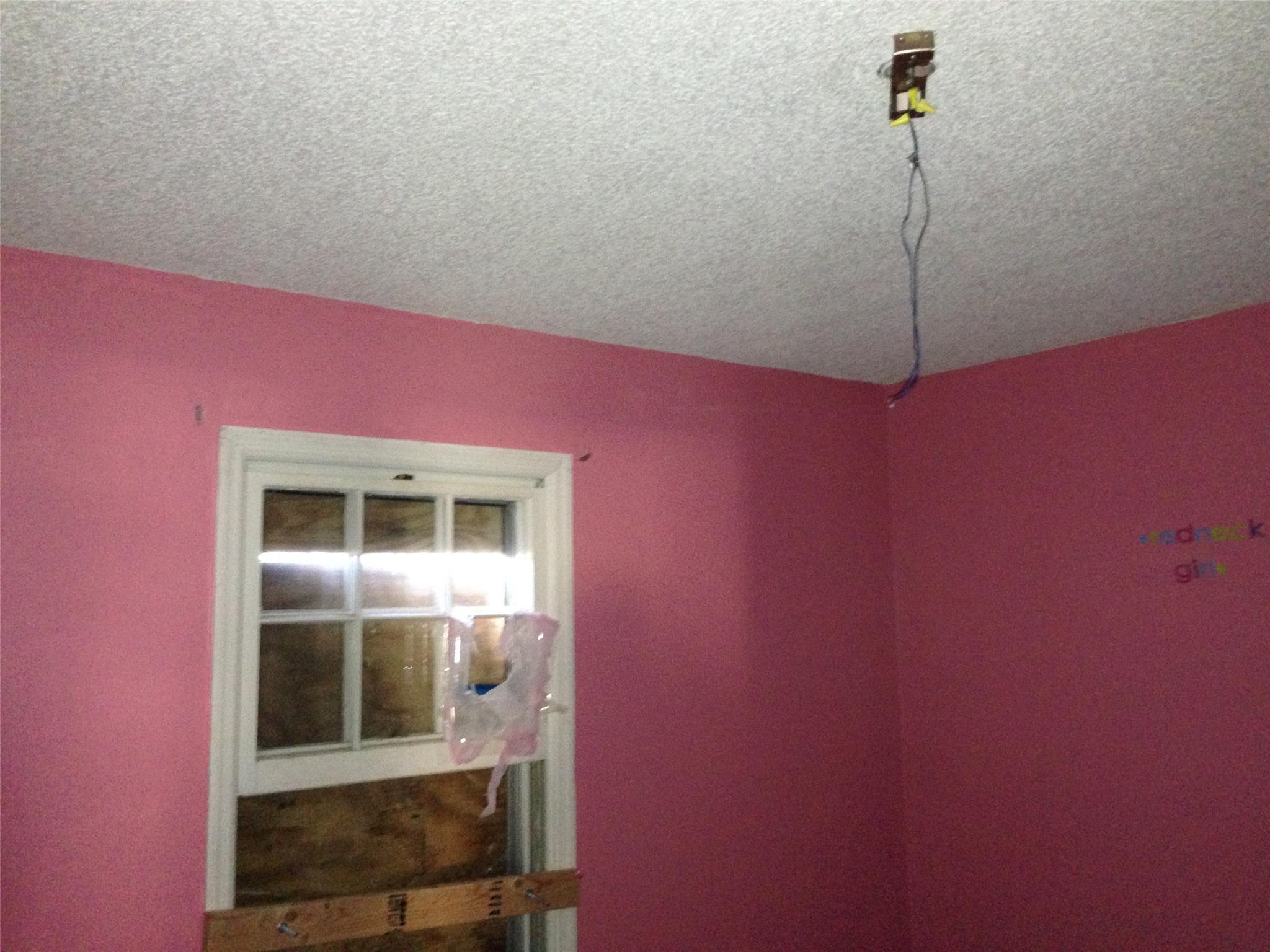 91 Elberta Dr, Jefferson, GA 30549 photo 3