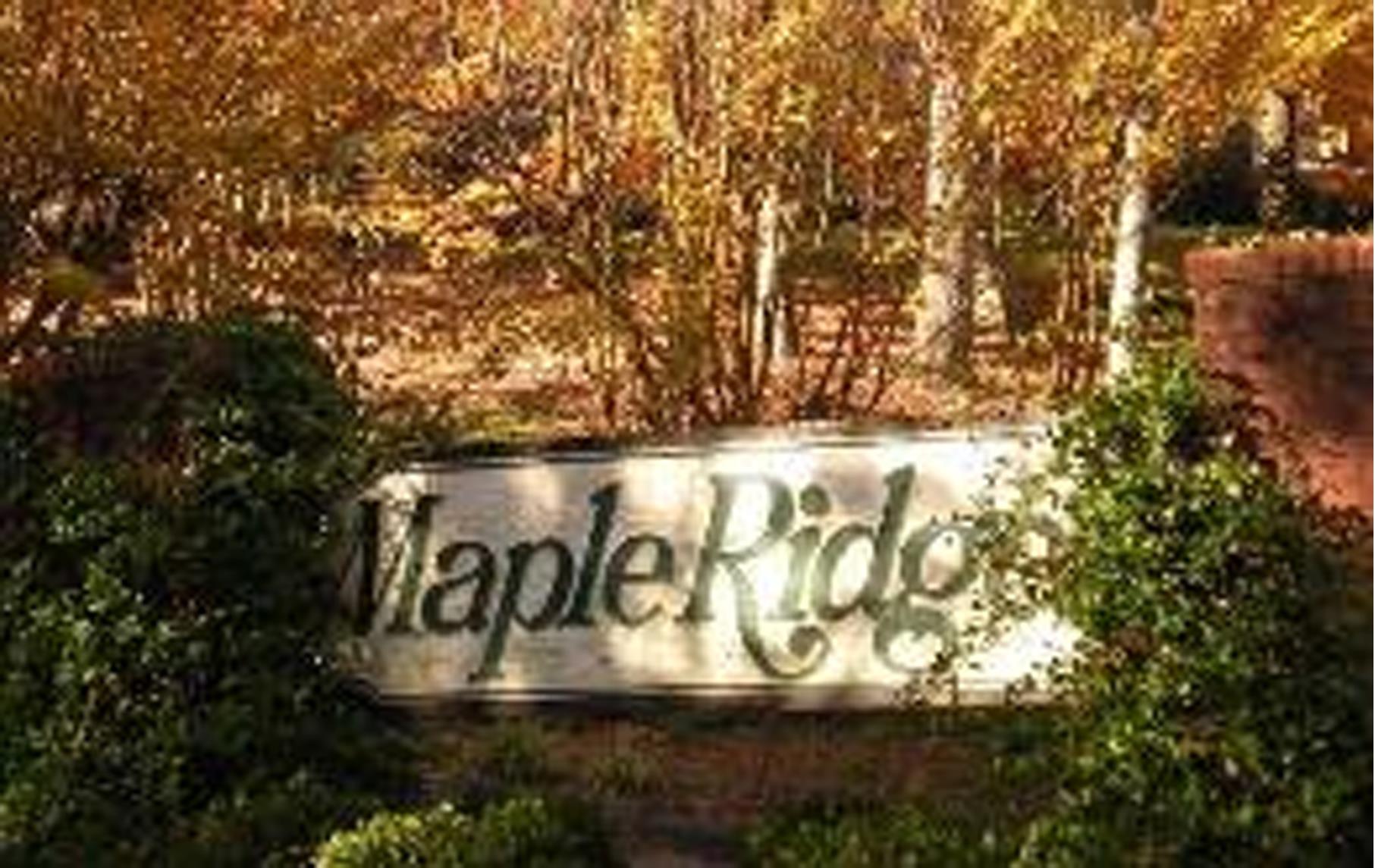 3316 Maple Ridge Ct, Suwanee, GA 30024 photo 21