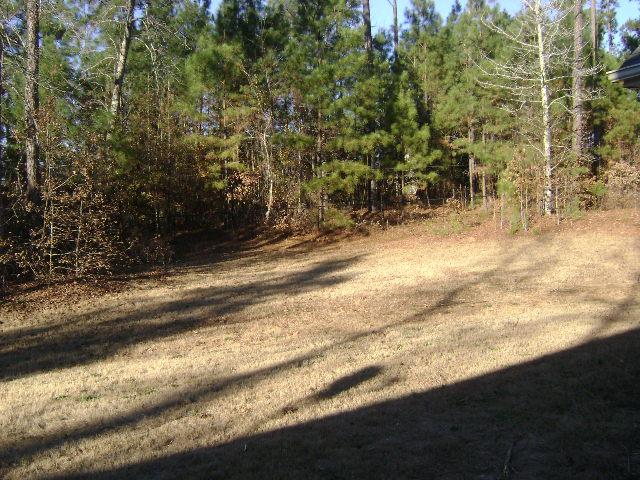40 Shadowbrook Dr, Covington, GA 30016 photo 17