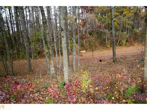 15 County Road 426, Centre, AL 35960 photo 4