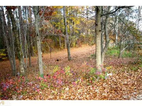 15 County Road 426, Centre, AL 35960 photo 3