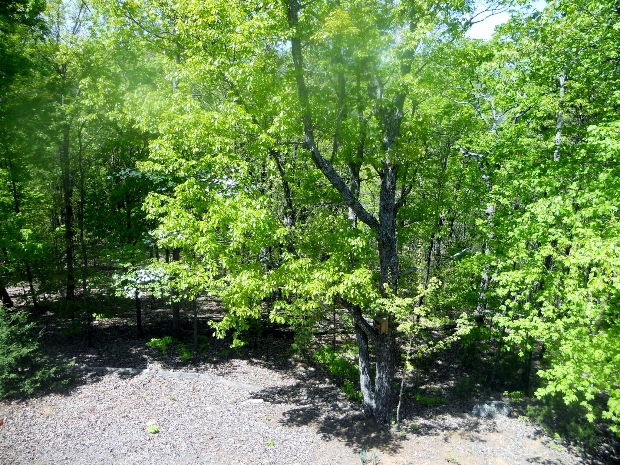 549 Ruby Rdg, Talking Rock, GA 30175 photo 6