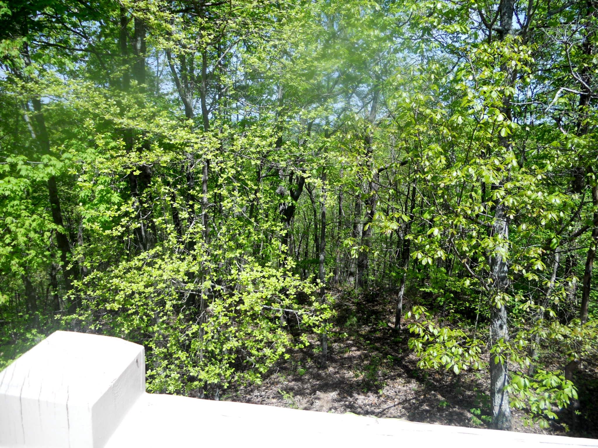 549 Ruby Rdg, Talking Rock, GA 30175 photo 5