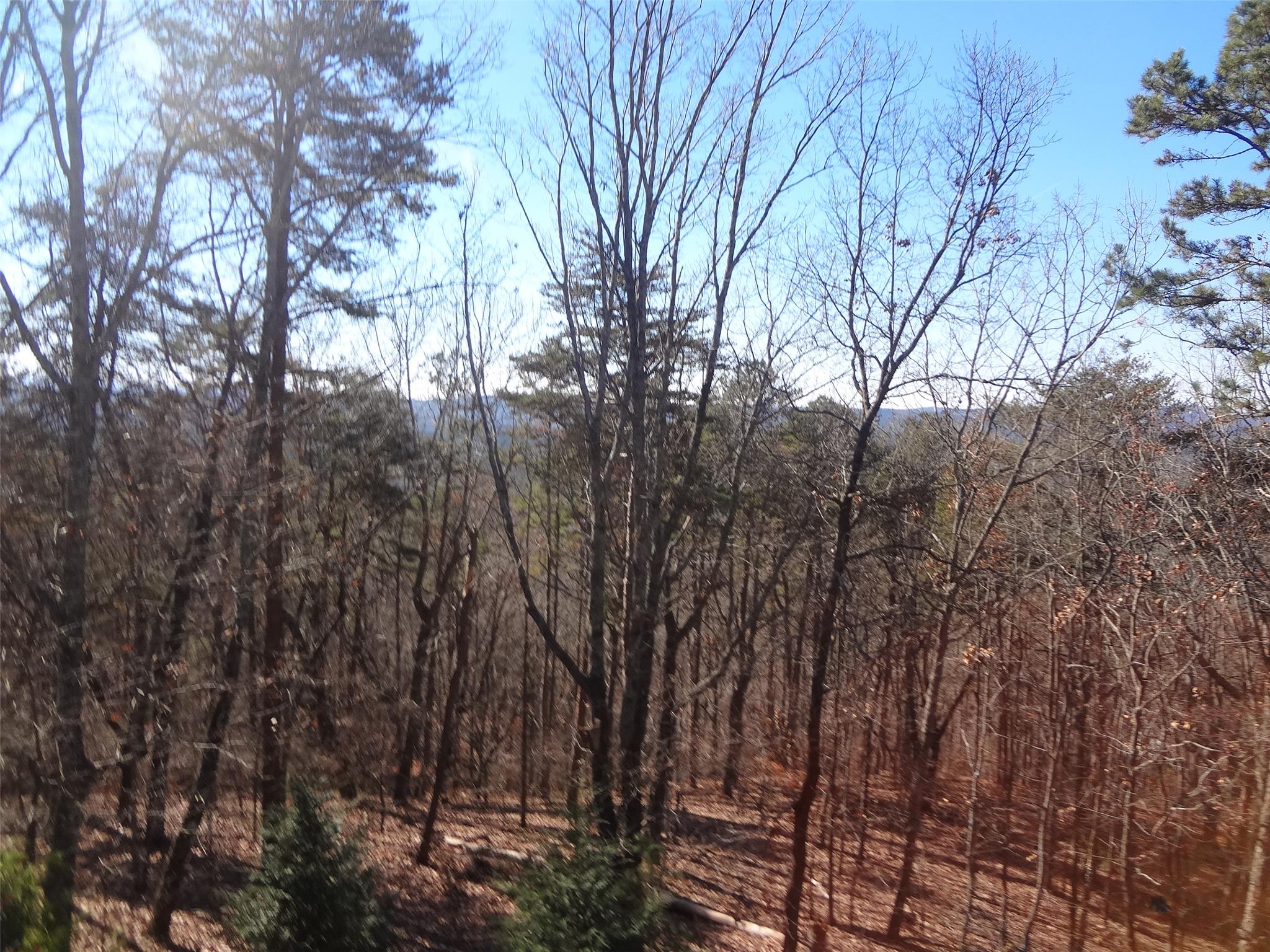 549 Ruby Rdg, Talking Rock, GA 30175 photo 24