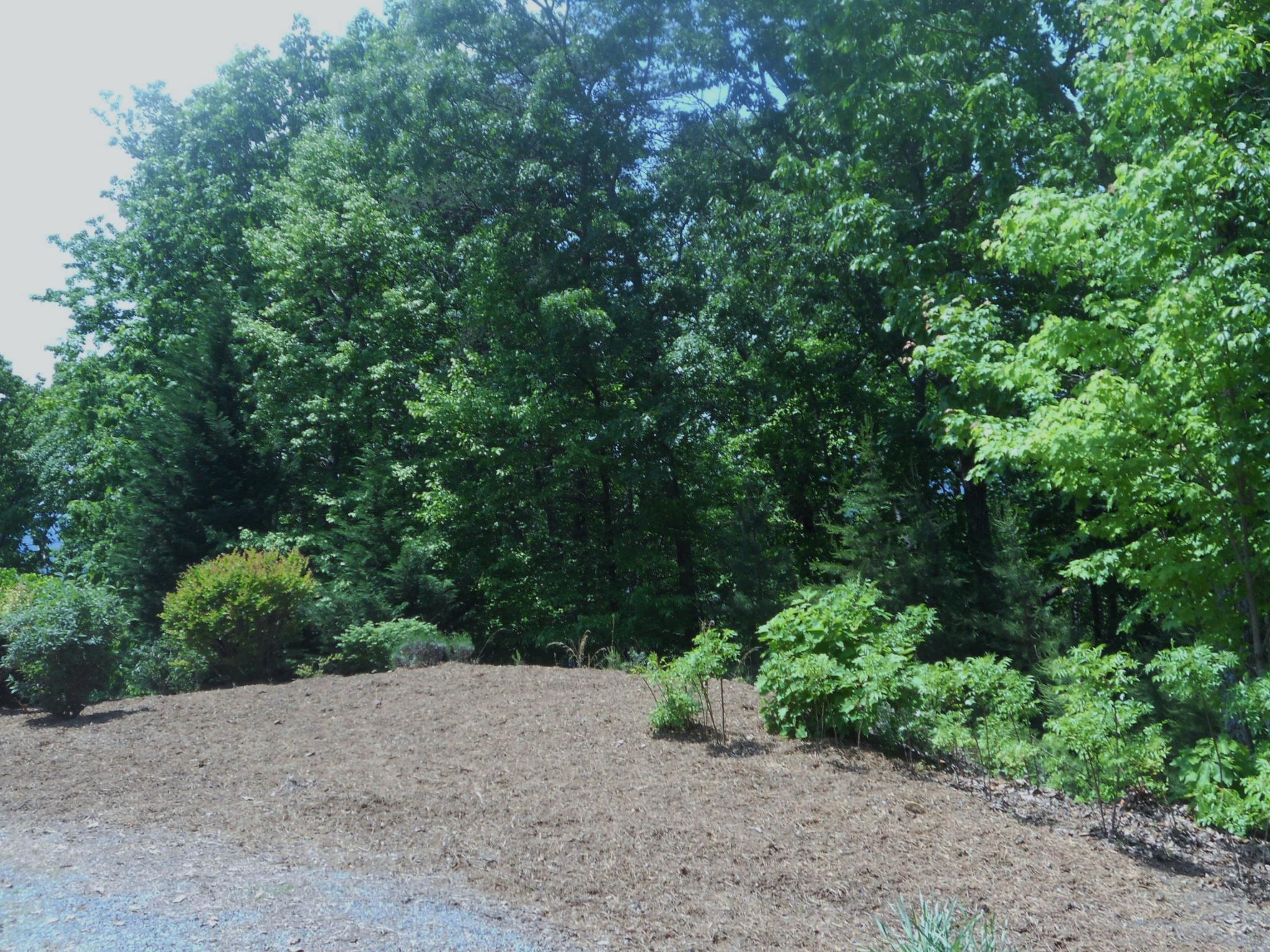 549 Ruby Rdg, Talking Rock, GA 30175 photo 7