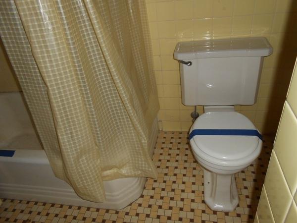 1732 Lancaster Pl, Macon, GA 31206 photo 7