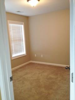 36 Plum Blossom Ln, Hampton, GA 30228 photo 9