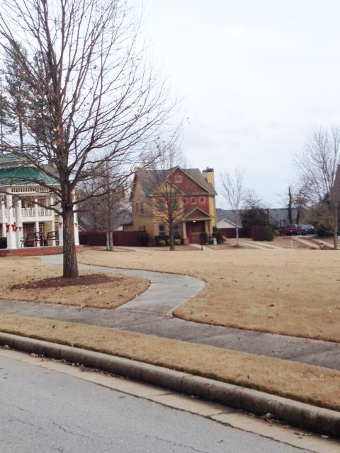 36 Plum Blossom Ln, Hampton, GA 30228 photo 13