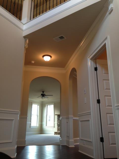 225 Snow Bird Dr, Hampton, GA 30228 photo 10