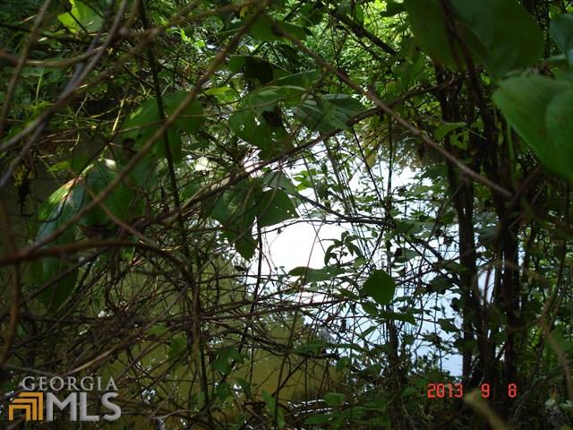 159 Elliott Rd, Temple, GA 30179 photo 3