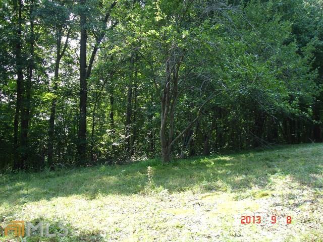 159 Elliott Rd, Temple, GA 30179 photo 4