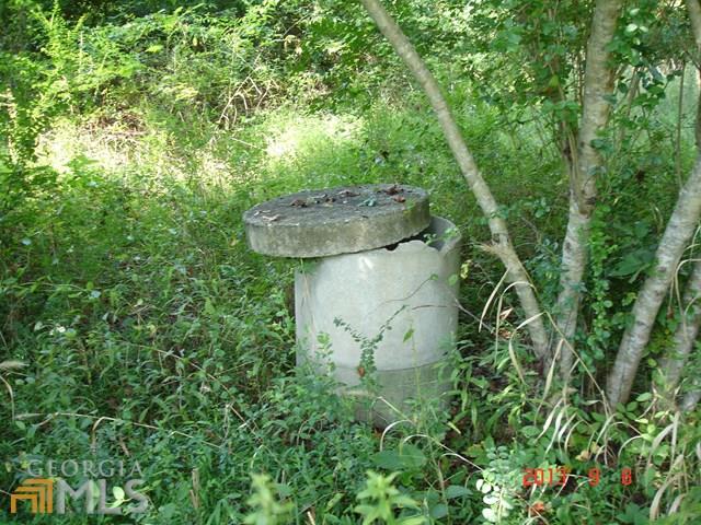 159 Elliott Rd, Temple, GA 30179 photo 2