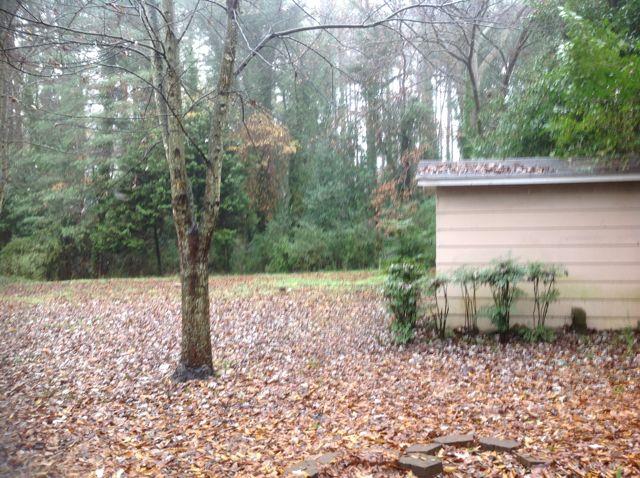 112 Parkway Dr, Toccoa, GA 30577 photo 13